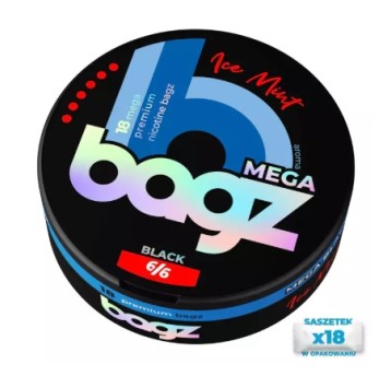 B26 Saszetki nikotynowe BAGZ Ice Mint 6/6