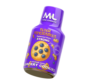ELIXIR PANORAMIXA – Blueberry Cookies 100ml 500mg
