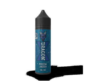 LONGFILL DRAGON X PANDA 10/60ML MROŹNA JAGODA