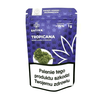 Susz CBD Sativa 1G Tropicana