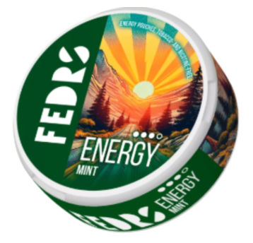 Woreczki kofeinowe FEDRS Energy Land Mint 65mg